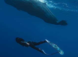 Deep Sea Scuba Diving Adventure